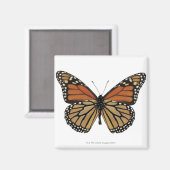 蝶の神経叢 マグネット (正面/裏面)