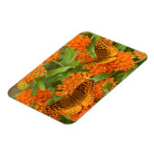 蝶の素晴らし上の急なフリチリャリ マグネット (左側)