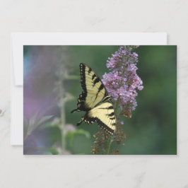 蝶の繊細なTouch – フラットグリーティングカード カード