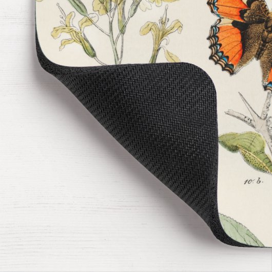 蝶の美しいヴィンテージイラストレーション マウスパッド (コーナー)