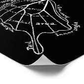 蝶の羽のヴィンテージ図 ポスター (角)