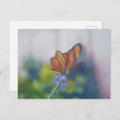 蝶の翼はがき ポストカード (正面/裏面)