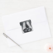 蝶の胃内のX線 スクエアシール (封筒)