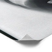 蝶の胃内のX線 ポスター (角)