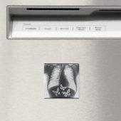 蝶の胃内のX線 マグネット (インサイチュ (食洗機))