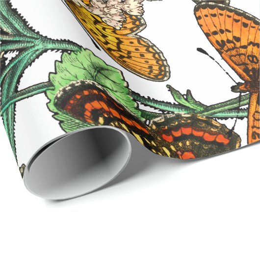 蝶の自然包み紙 ラッピングペーパー (ロールコーナー)