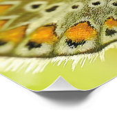 蝶の花が愛の運命のシャワー ポスター (コーナー)