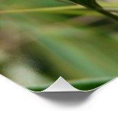 蝶の花が愛の運命のシャワー ポスター (コーナー)