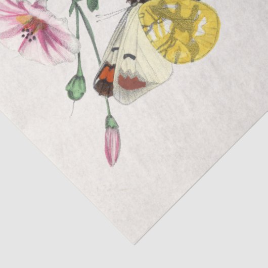 蝶の花の蛾のヴィンテージ素朴切り離し 薄葉紙 (詳細)