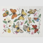 蝶の花の蛾のヴィンテージ素朴切り離し 薄葉紙 (正面)