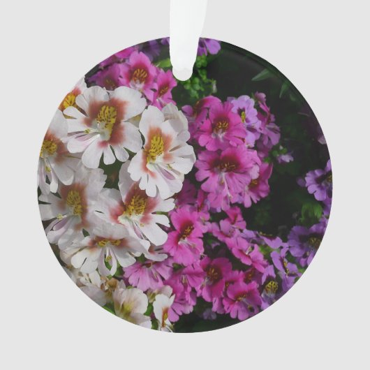 蝶の花ホワイトピンクと紫 オーナメント (正面)