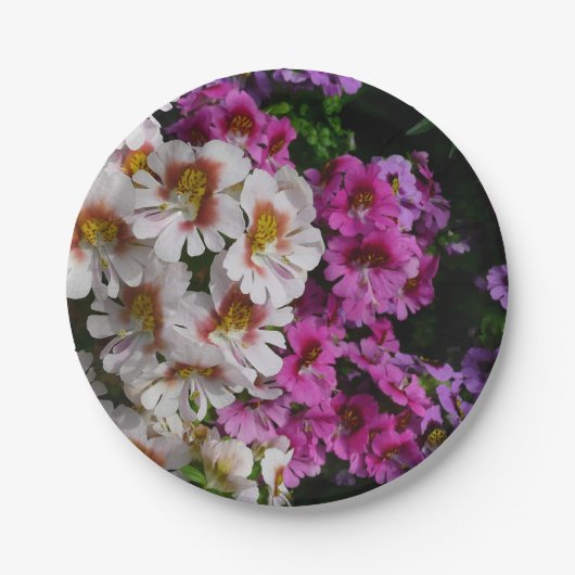 蝶の花ホワイトピンクと紫 ペーパープレート (正面)