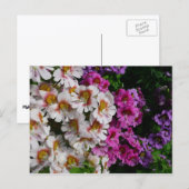 蝶の花ホワイトピンクと紫 ポストカード (正面/裏面)