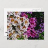 蝶の花ホワイトピンクと紫 ポストカード (正面/裏面)