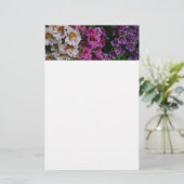 蝶の花ホワイトピンクと紫 便箋 (スタンド正面)