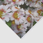 蝶の花ホワイトピンクと紫 薄葉紙 (詳細)