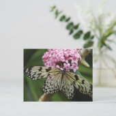 蝶の花2 ポストカード (スタンド正面)