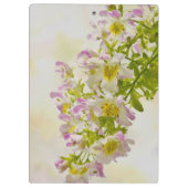 蝶の花 クリップボード (裏面)