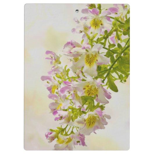 蝶の花 クリップボード (裏面)