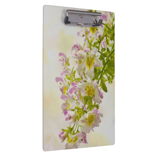 蝶の花 クリップボード (右)