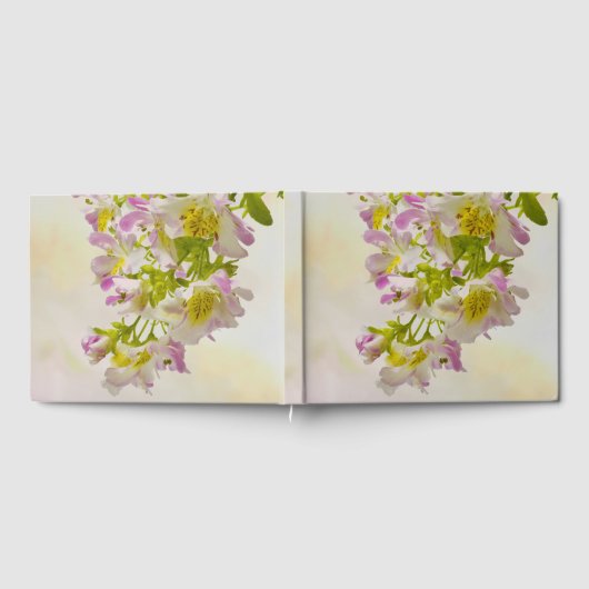 蝶の花 ゲストブック (全面)