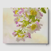 蝶の花 ゲストブック (裏面)