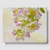 蝶の花 ゲストブック (正面)