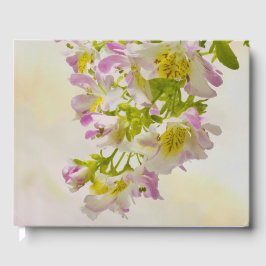 蝶の花 ゲストブック