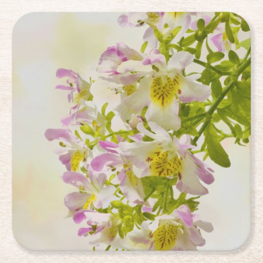 蝶の花 スクエアペーパーコースター (正面)