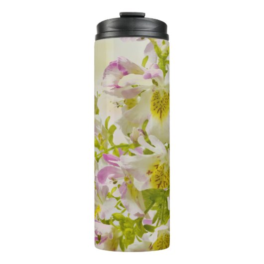 蝶の花 タンブラー (正面)