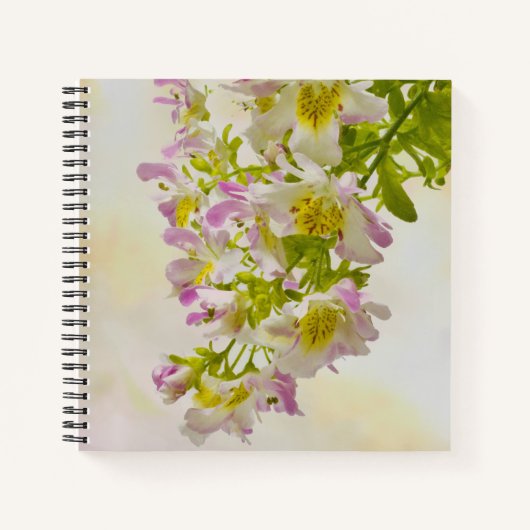 蝶の花 ノートブック (正面)