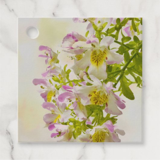 蝶の花 フェイバータグ (正面)