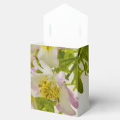 蝶の花 フェイバーボックス (オープン)