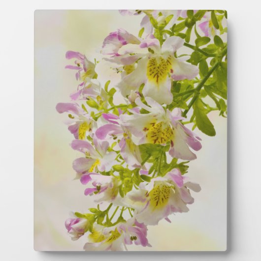 蝶の花 フォトプラーク (正面)