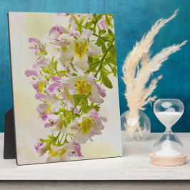 蝶の花 フォトプラーク