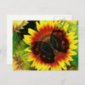 蝶の花 ポストカード (正面/裏面)