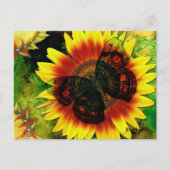 蝶の花 ポストカード (正面)