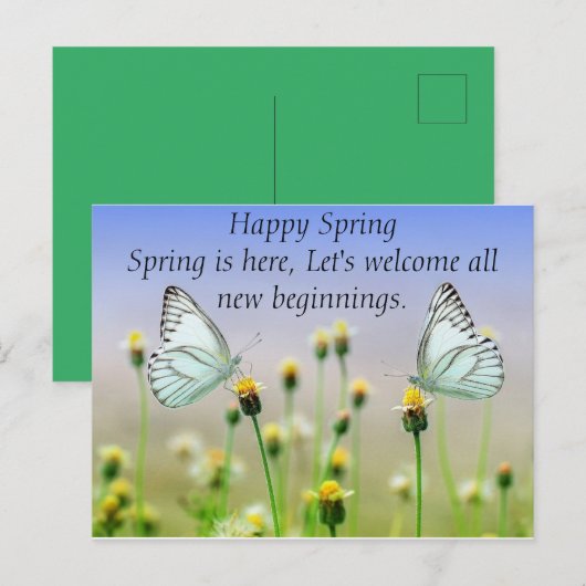 蝶の花 ポストカード (正面/裏面)