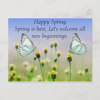 蝶の花 ポストカード