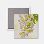 蝶の花 マグネット (正面/裏面)