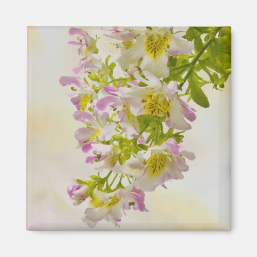 蝶の花 マグネット (正面)