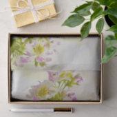 蝶の花 薄葉紙 (ギフト)