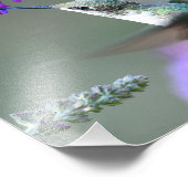 蝶の茂みにハミングバード フォトプリント            (角)