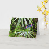 蝶の葉 カード (黄色い花)