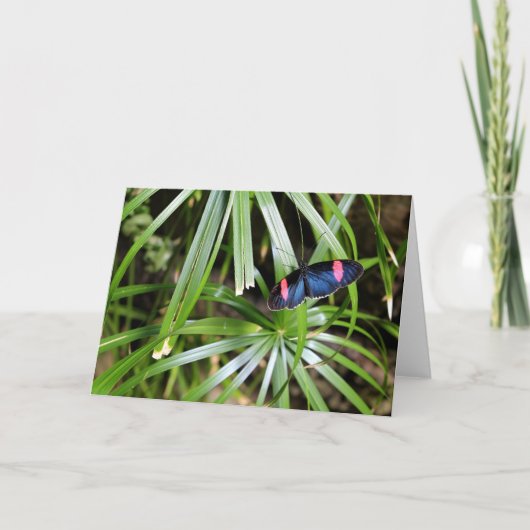 蝶の葉 カード (正面)