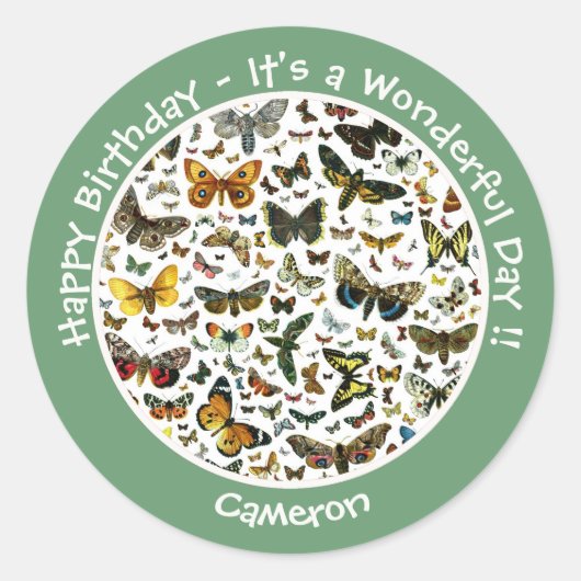 蝶の誕生日、パーティーのコラージュのアイテム ラウンドシール (正面)