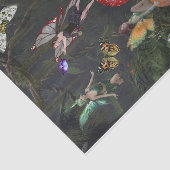 蝶の誕生 薄葉紙 (詳細)