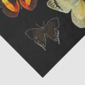 蝶の間のカラフル虹彩ブラックフローラ 薄葉紙 (詳細)