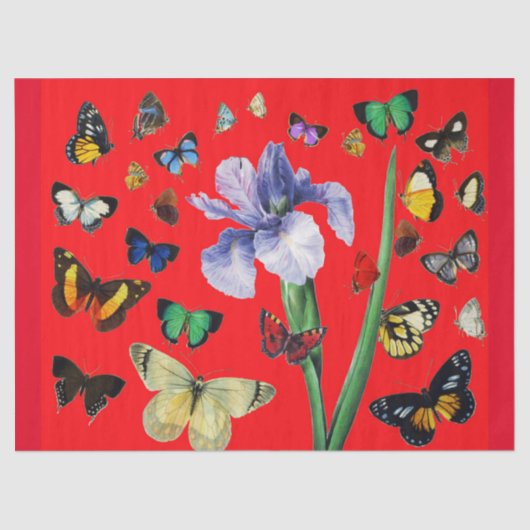 蝶の間のカラフル虹彩レッドフローラ 薄葉紙 (正面)