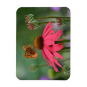 蝶の集まる花蜜 マグネット (縦)